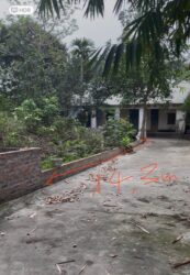 Bán đất mặt tiền 14.3m, diện tích 352,7m2, 100m thổ cư tại Cẩm Đội - Thụy Vân - Việt trì