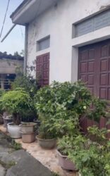 Bán nhà full thổ cư 58,5m+50m2 lưu không Tại Phố Hà Liễu, Gia Cẩm, Việt Trì, Phú Thọ