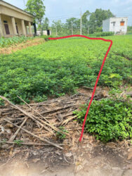 Bán Đất 136m2 tại Khuôn Quãi - Phượng Lâu - Việt Trì
